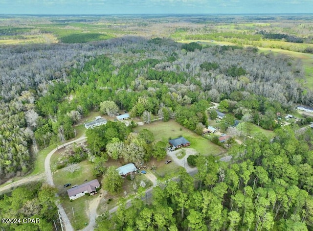 Listing photo 3 for . Pelham Avenue, Graceville FL 32440