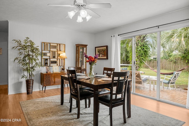 dining area with ceiling fan and hardwood / wood-style flooring