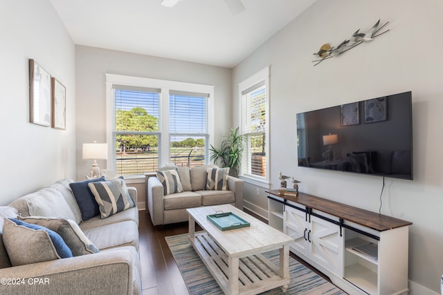 living room featuring ceiling fan and dark wood-type flooring