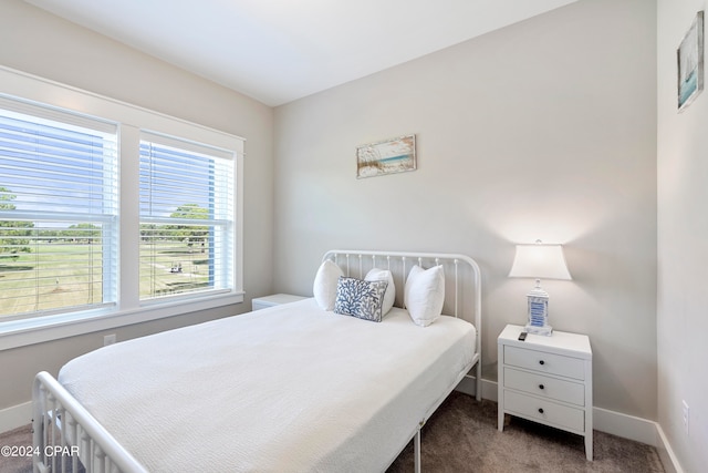 bedroom with carpet floors