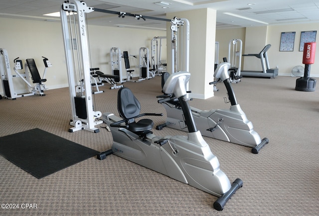 exercise room featuring carpet