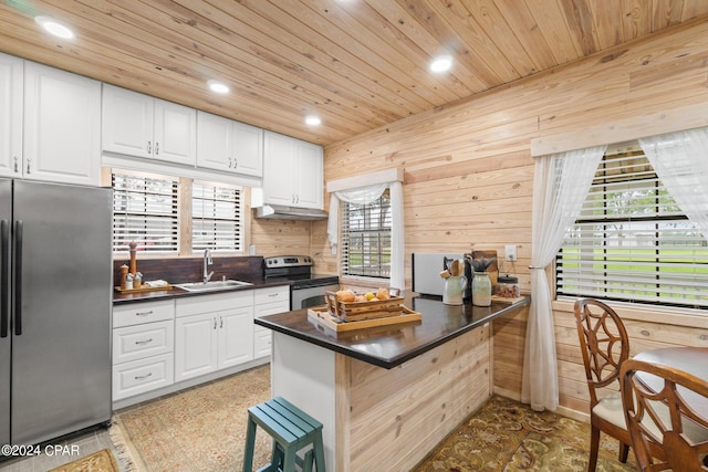 kitchen featuring kitchen peninsula, sink, stainless steel appliances, and a wealth of natural light