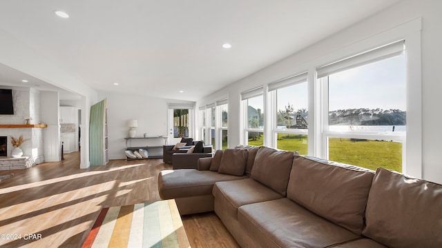 living room featuring wood-type flooring and a fireplace