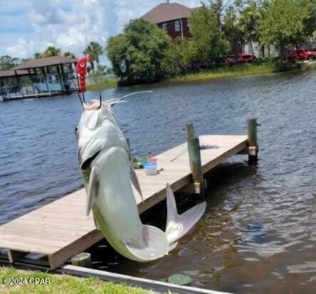 dock area with a water view