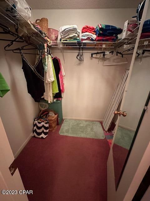 spacious closet with carpet