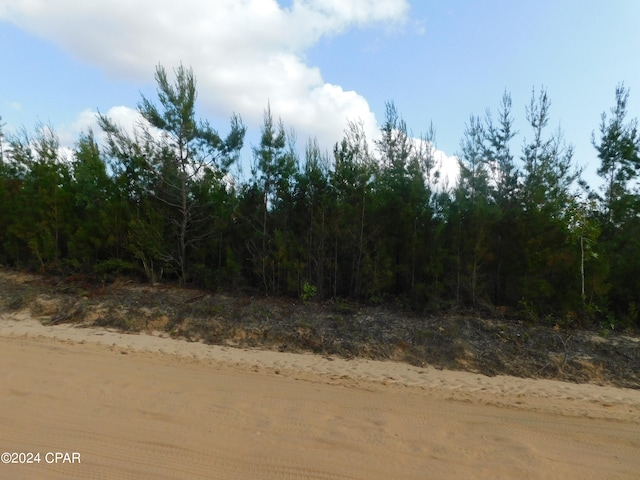 001 S Silver Lake Rd, Fountain FL, 32438 land for sale