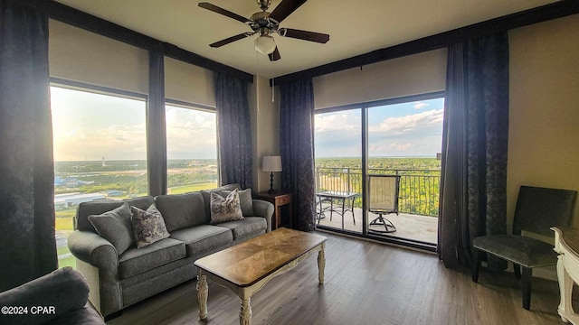 living room featuring hardwood / wood-style floors, plenty of natural light, and ceiling fan