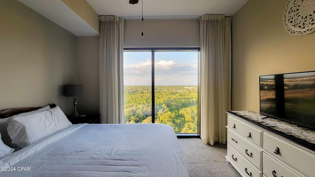 bedroom with light carpet