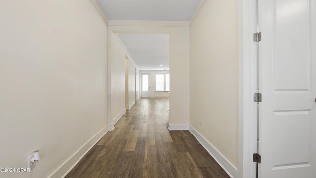 hallway with dark hardwood / wood-style floors and crown molding