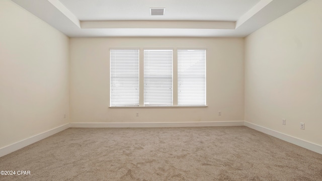 spare room featuring a raised ceiling and light carpet