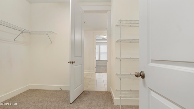 walk in closet with light carpet