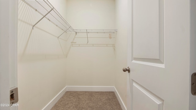 walk in closet featuring carpet