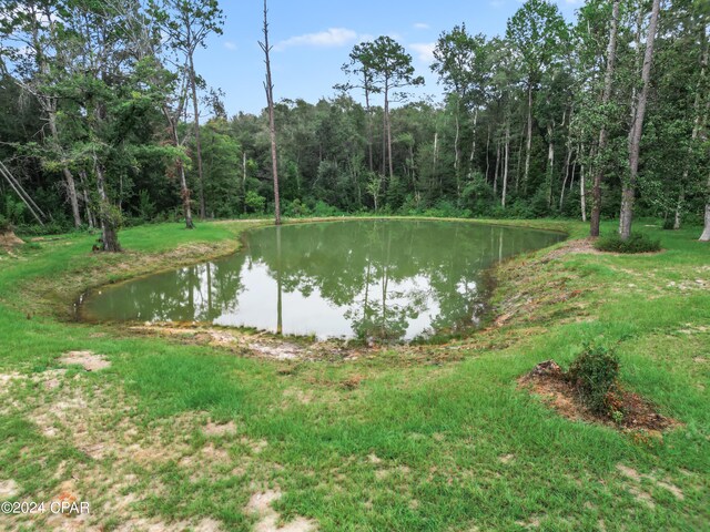 13272 NW State Road 20, Bristol, FL 32321 - water view featuring a forest