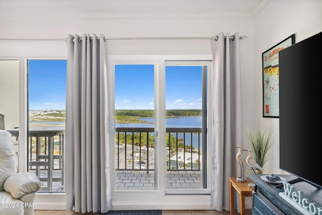 doorway to outside with crown molding, carpet flooring, and a wealth of natural light