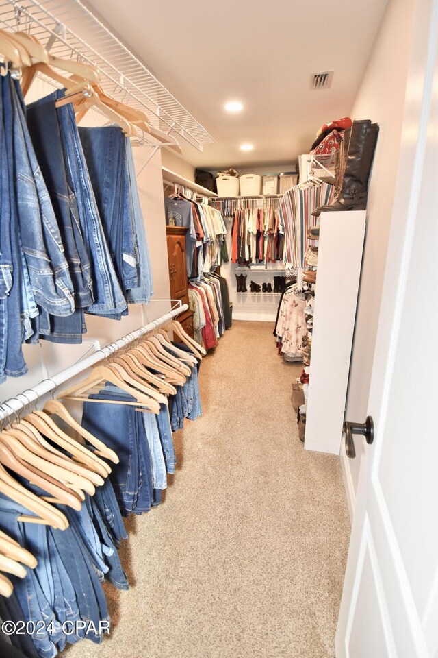 walk in closet featuring carpet flooring