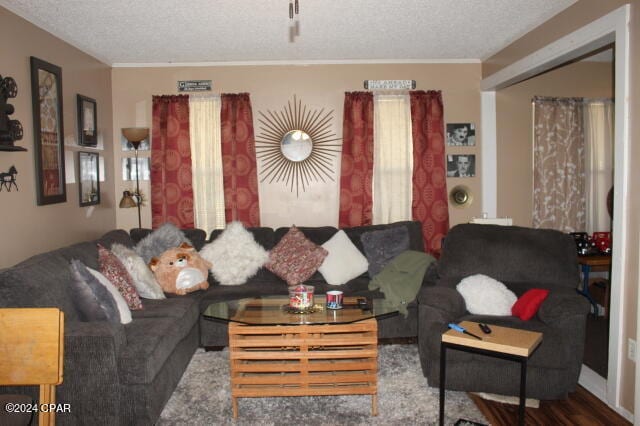 living room featuring ornamental molding and a textured ceiling