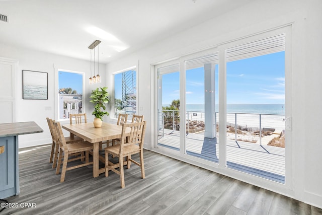 dining room featuring a wealth of natural light, visible vents, and wood finished floors