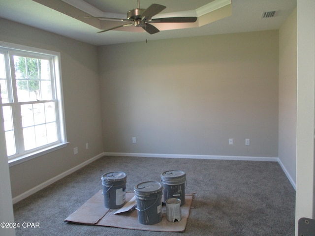 spare room featuring crown molding, carpet, a tray ceiling, and ceiling fan