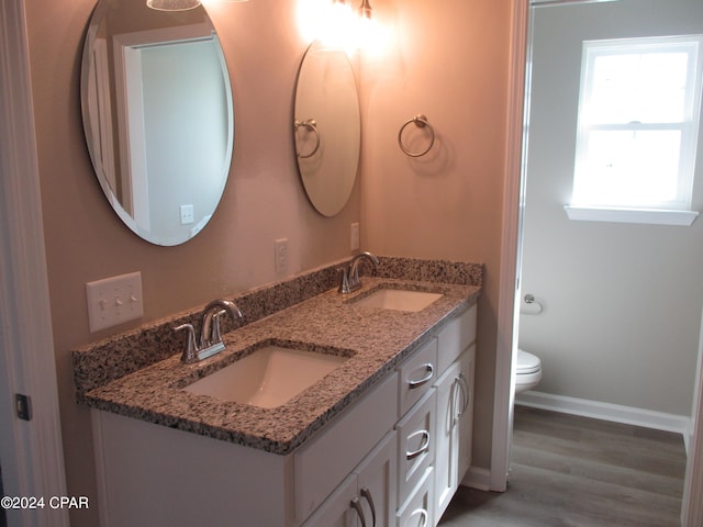 bathroom with vanity, toilet, and hardwood / wood-style flooring