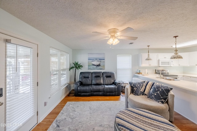 living room featuring ceiling fan, light hardwood / wood-style flooring, a textured ceiling, and sink