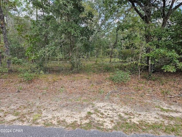 00 Quail Ridge Dr, Chipley FL, 32428 land for sale