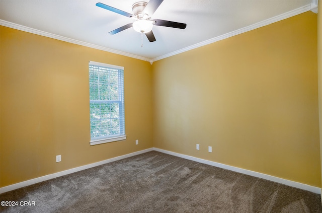 unfurnished room with ornamental molding, ceiling fan, and carpet