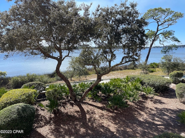 view of local wilderness with a water view