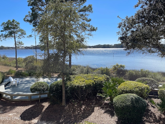 view of water feature