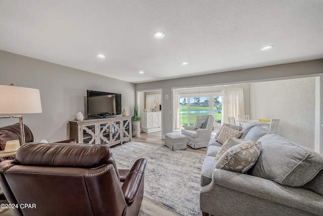 living room featuring a textured ceiling and light hardwood / wood-style flooring