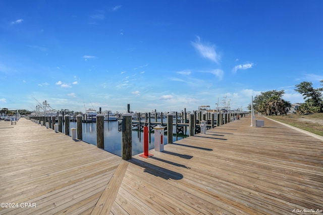 dock area with a water view