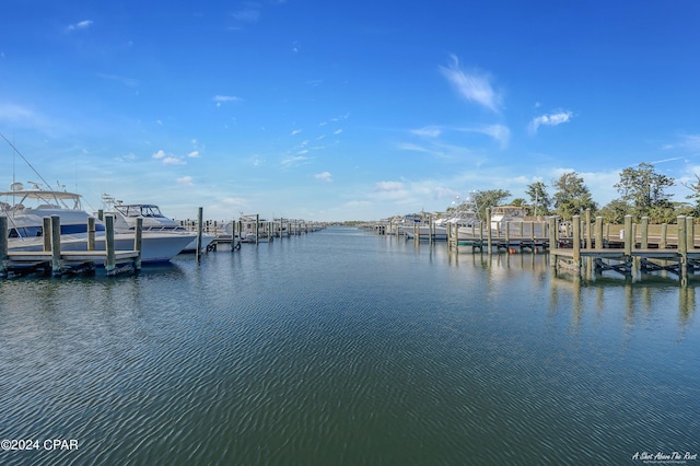 dock area featuring a water view