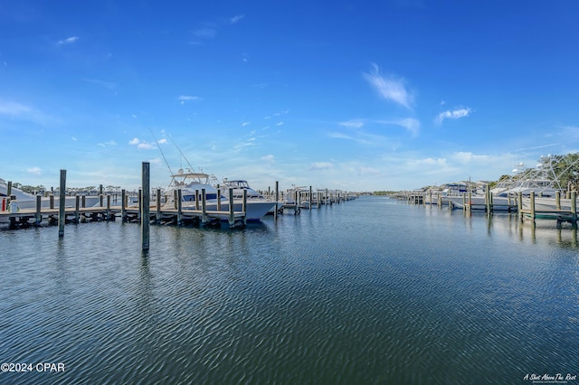 dock area featuring a water view