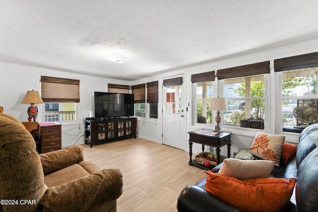 living room with a textured ceiling and light hardwood / wood-style floors