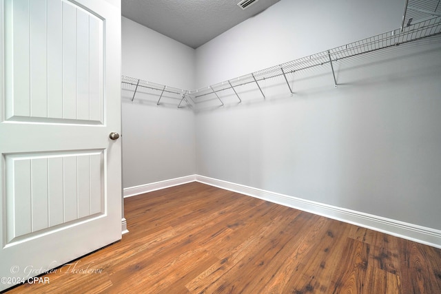 spacious closet featuring wood-type flooring