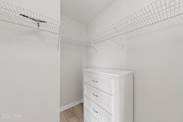 walk in closet featuring light hardwood / wood-style flooring