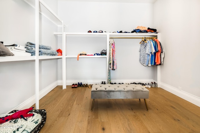 spacious closet with hardwood / wood-style floors