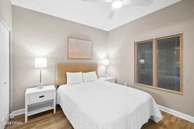 bedroom featuring ceiling fan, a closet, and hardwood / wood-style flooring