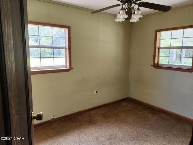 spare room with ceiling fan, crown molding, and carpet