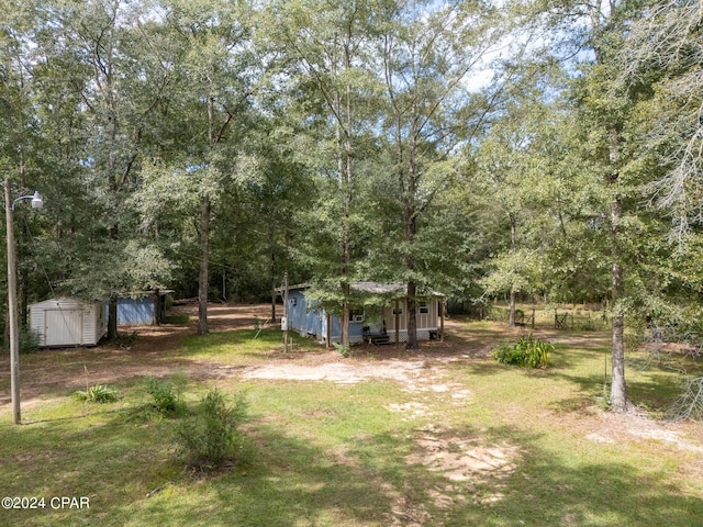 view of yard with a storage unit