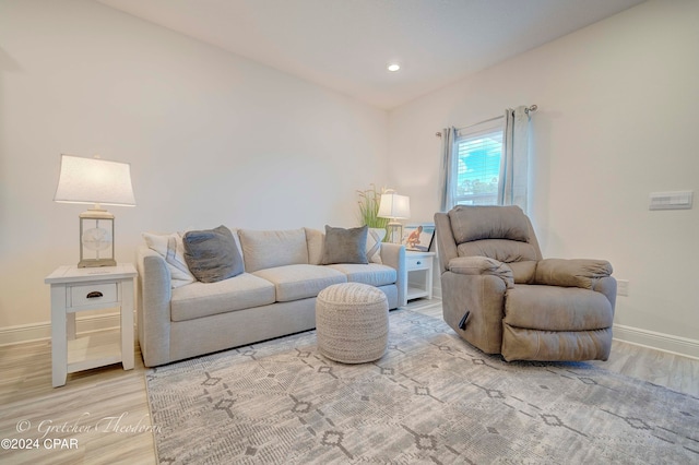 living room featuring wood-type flooring