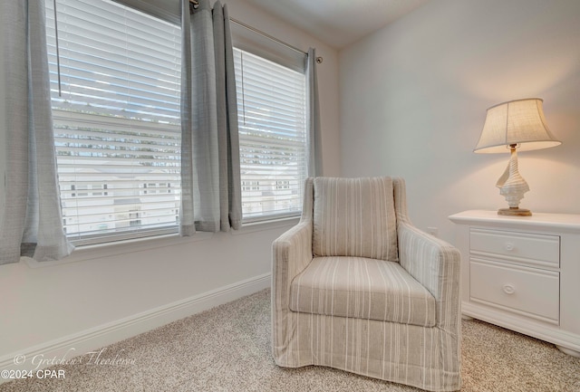 living area with light carpet