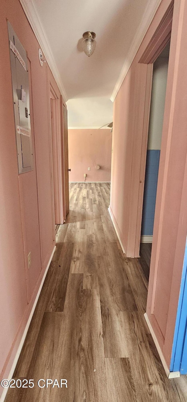 hallway with hardwood / wood-style flooring, ornamental molding, and electric panel