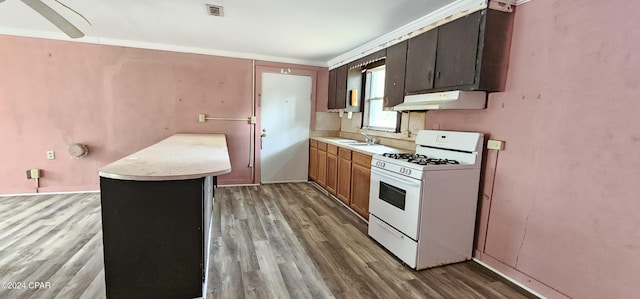 kitchen featuring sink, white gas stove, and light wood-type flooring