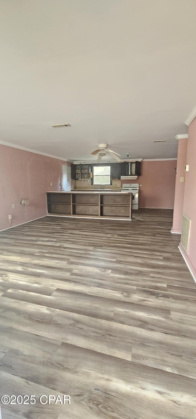 spare room featuring ceiling fan, ornamental molding, and hardwood / wood-style floors