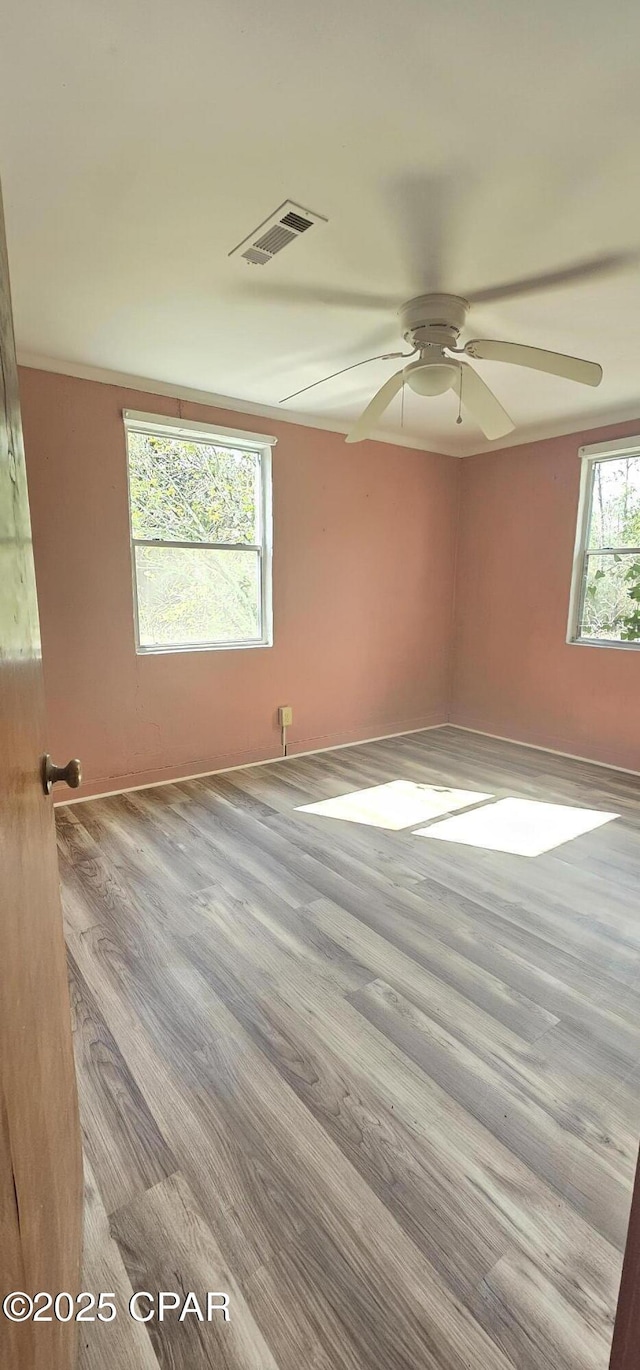 empty room featuring ceiling fan and light wood-type flooring