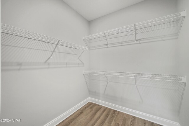 walk in closet with hardwood / wood-style flooring