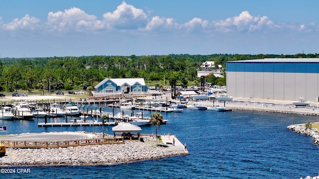 dock area featuring a water view