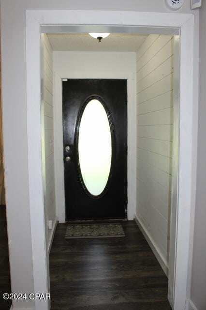 entryway with dark wood-type flooring