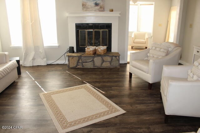 living area featuring a stone fireplace and dark hardwood / wood-style flooring