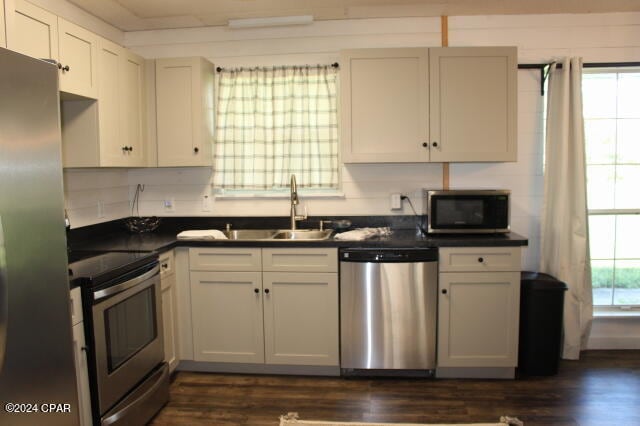 kitchen with a wealth of natural light, appliances with stainless steel finishes, dark wood-type flooring, and sink